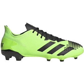 Fußballschuhe adidas Predator 20.2 Fg grün und schwarz EH2932