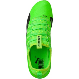Puma Evo Power Vigor 2 Fg 103954 01 Fußballschuhe grün