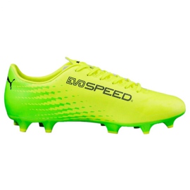 Fußballschuhe Puma Evo Speed ​​​​17.4 Fg M 104017 01 grün