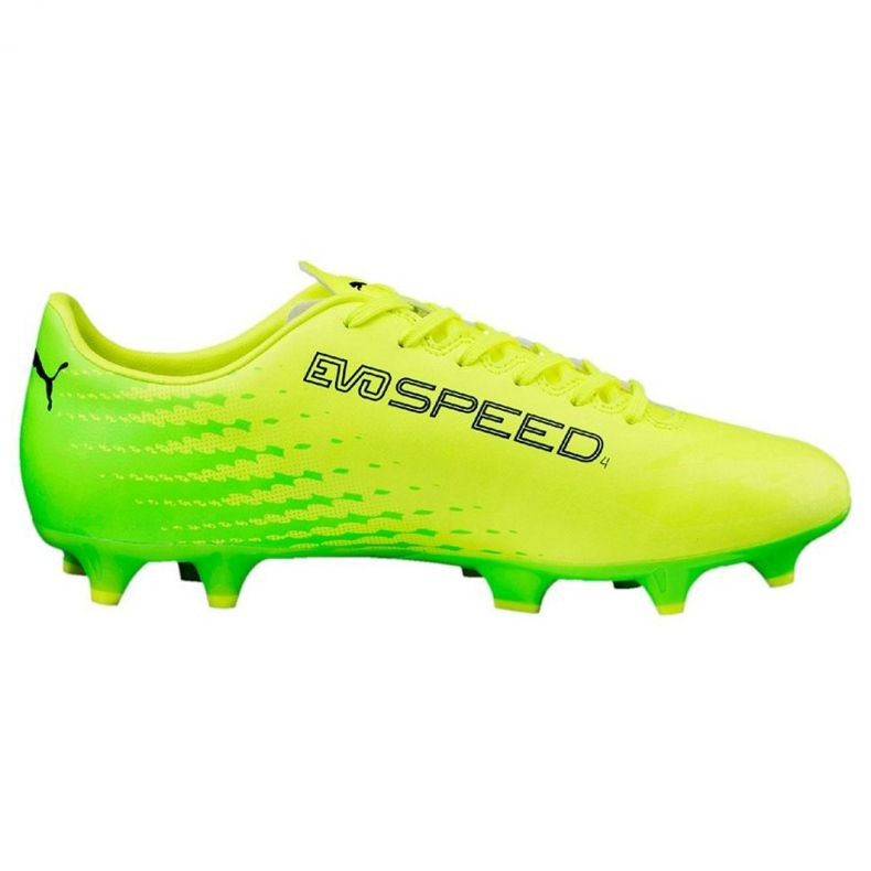 Fußballschuhe Puma Evo Speed ​​​​17.4 Fg M 104017 01 grün