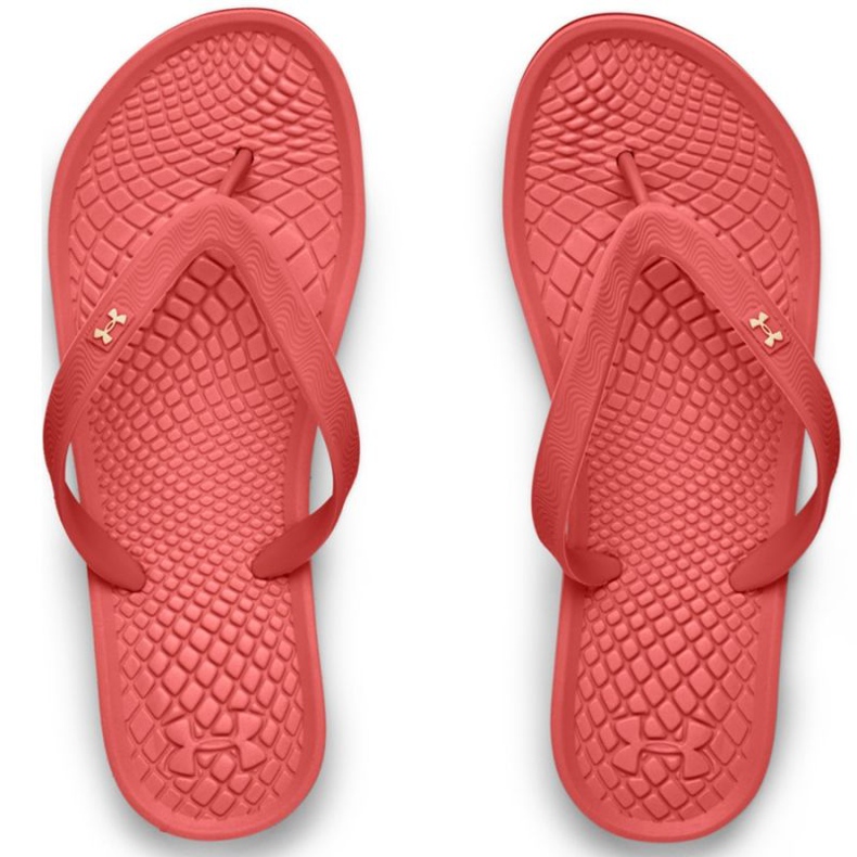 Under Armour Atlantic Dune TW 3022 716 603 Flip-Flops rot rosa