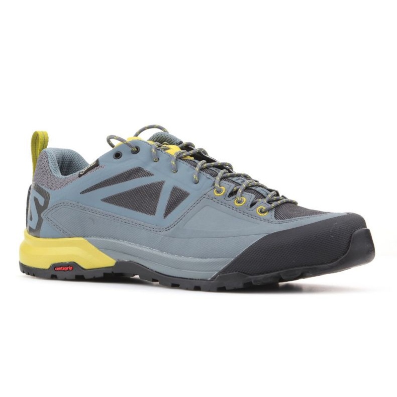 Salomon X Alp Spry Gtx M 401621 Schuhe grau