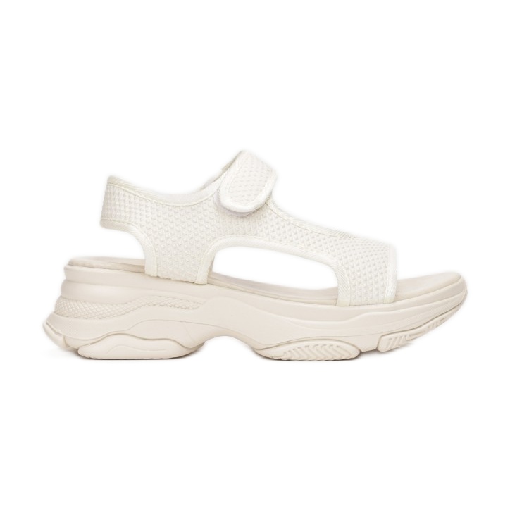 Vices Schraubstöcke 0276-263-42-beige