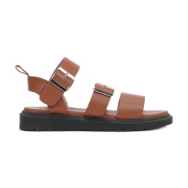 Vices Laster 1957-1-68-Kamel braun