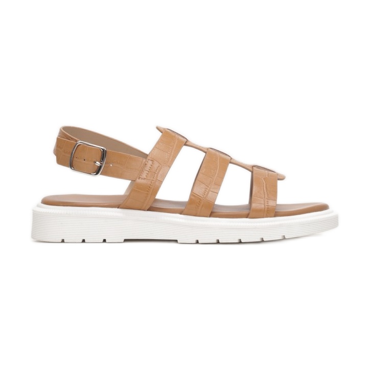 Vices Laster 1957-10-68-Kamel braun