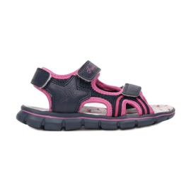 Vices Schraubstöcke T34-26-292-blau / fushia