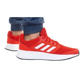 Schuhe adidas Galaxy 5 Vived M FY6721 rot