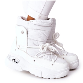 POTOCKI White Holys mit Fell isoliert weiß