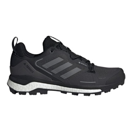 Adidas Terrex Skychaser 2 Gtx M FX4547 Schuhe schwarz
