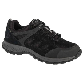 Timberland Sadler Pass Gtx A1PG2 Schuhe schwarz