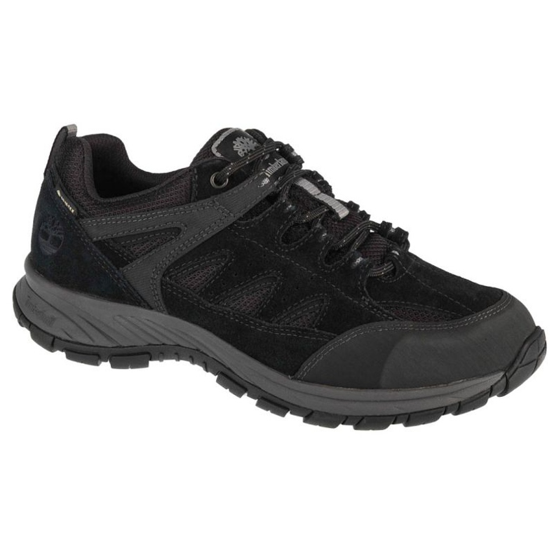 Timberland Sadler Pass Gtx A1PG2 Schuhe schwarz