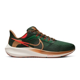 Nike Air Zoom Pegasus 39 AIR Hola Lou M DO9500-300 Schuh grün