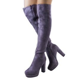 PA1 Graue Wildlederstiefel am Titus-Posten