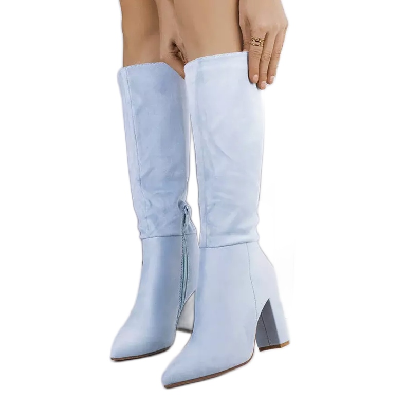 BM Blaue, isolierte Stiefel am Narcis-Posten