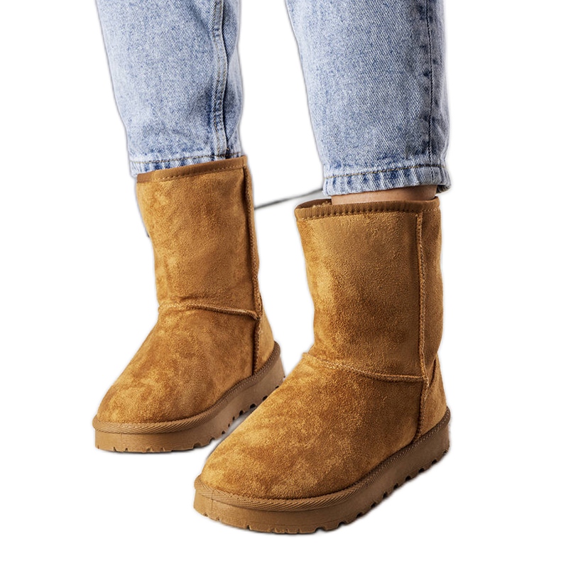 Hank braun isolierte Schneestiefel