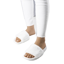 PA1 Weiße Schieber mit elfenbeinfarbenem Fell