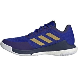 Volleyballschuhe adidas CrazyFlight Mid M HQ3488 blau blau