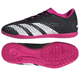 Adidas Predator Accuracy.4 In M GW7072 Schuhe schwarz schwarz