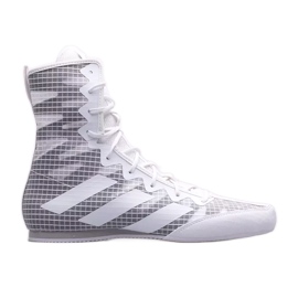 Boxschuhe adidas Box Hog 4 GZ6118 grau