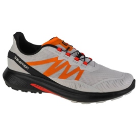 Salomon Hypulse M 415949 Laufschuhe grau