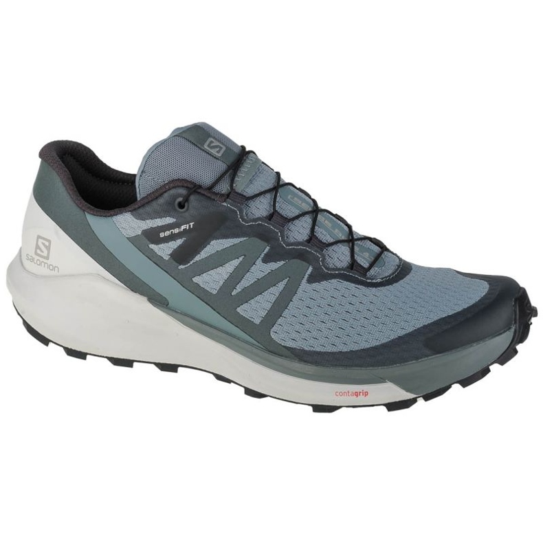 Schuhe Salomon Sense Ride 4 M 412997 blau
