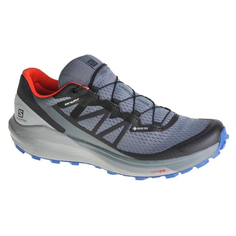Schuhe Salomon Sense Ride 4 GTX M 413778 grau