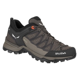 Salewa Mtn Trainer Lite Gtx W 61362-7517 Trekkingschuhe braun