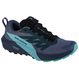Schuhe Salomon Sense Ride 5 Gtx M 471474 blau