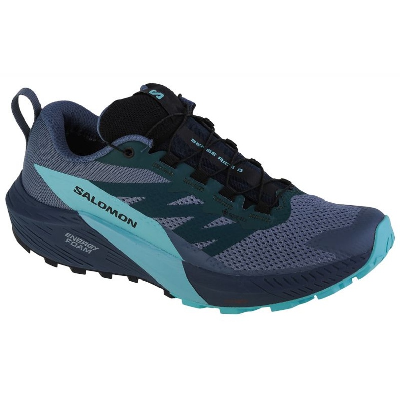 Schuhe Salomon Sense Ride 5 Gtx M 471474 blau