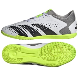 Adidas Predator Accuracy.4 In M GY9986 Fußballschuhe weiß weiß