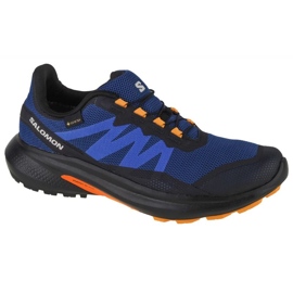 Schuhe Salomon Hypulse Gtx M 415961 blau