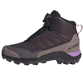 Adidas Terrex Winter Mid Boa Rain.Rdy IF7494 Schuhe schwarz