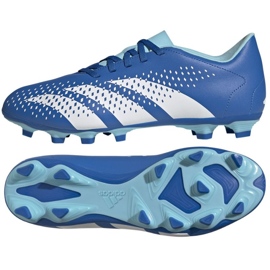 Adidas Predator Accuracy.4 FxG GZ0010 Fußballschuhe blau