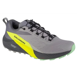 Salomon Sense Ride 5 M 471442 Laufschuhe grau