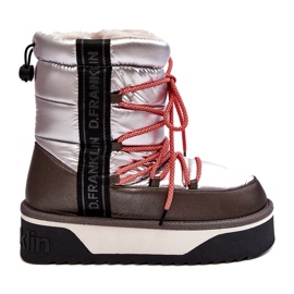 D.Franklin Damenschneeschuhe auf einer dicken veganen Sohle DFSH371006 Silber