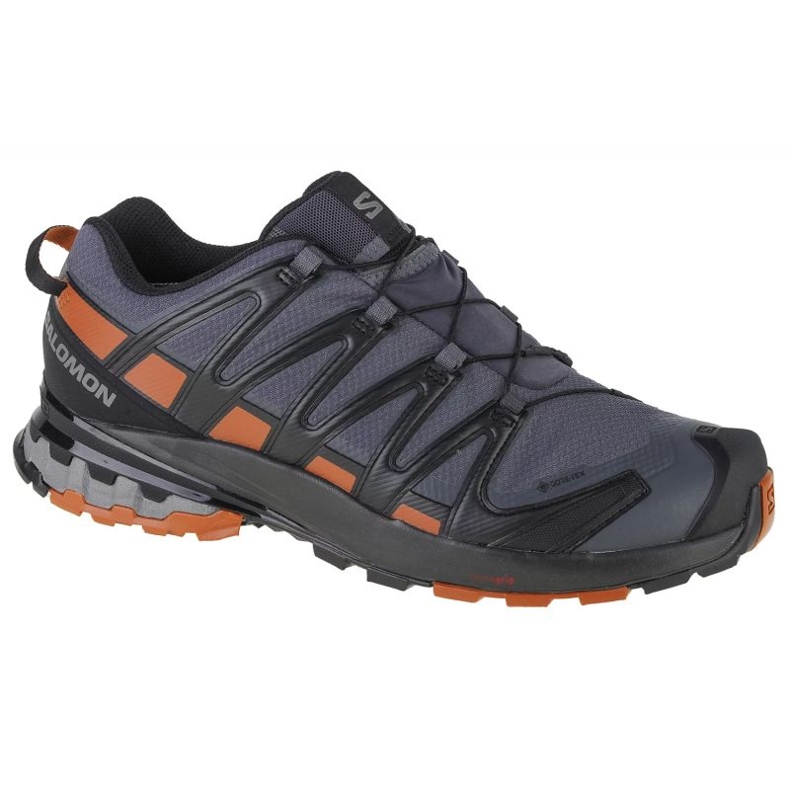 Salomon Xa Pro 3D v8 Gtx Laufschuhe 409892 blau