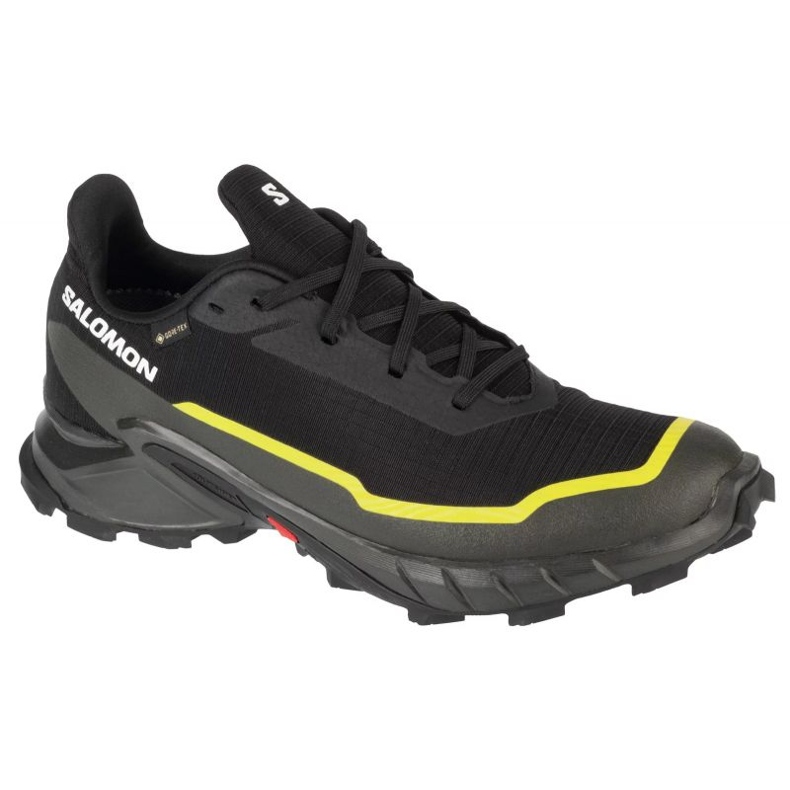 Salomon Alphacross 5 Gtx Schuhe 474604 schwarz