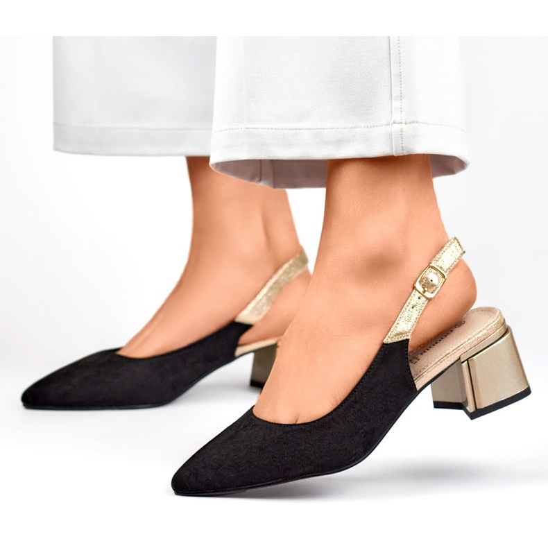 Pumpen Modell GD-FL495B Schwarz - PRIMO