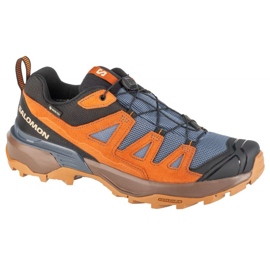 Salomon X Ultra 360 LTR GTX L47684900 Trekkingschuhe braun