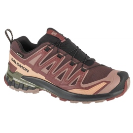 Salomon XA Pro 3d V9 GTX L47583500 Laufschuhe braun