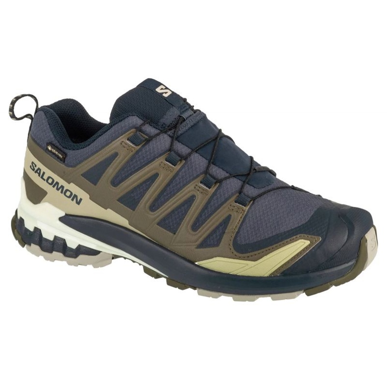 Salomon XA Pro 3d V9 GTX L47823000 Laufschuhe grau