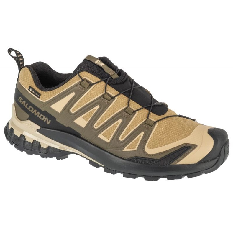 Salomon XA Pro 3d V9 GTX 472704 Grüne Schuhe