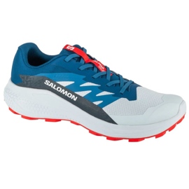Salomon Alphaglide Ballade L47724300 Laufschuhe grau