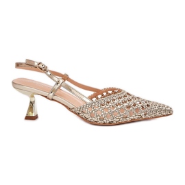 Hins mit einer spitzen Nase und einer Goldferse im Freien golden