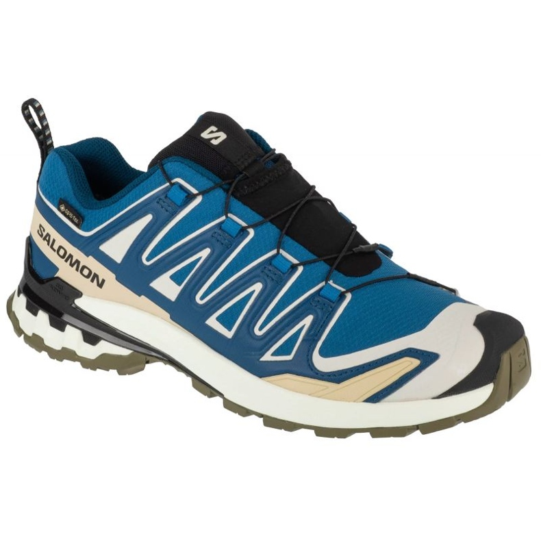 Salomon XA Pro 3d V9 GTX L47817400 Laufschuhe blau