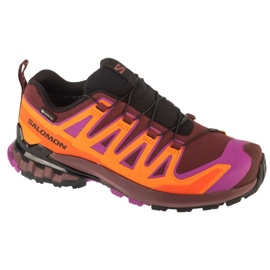 Salomon XA Pro 3d V9 GTX Laufschuhe in L47961900 mehrfarbig