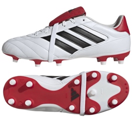 Adidas Copa Gloro II FG JR2871 Schuhe mehrfarbig