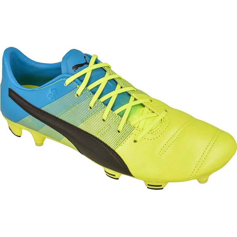 Puma evoPOWER 1.3 FG M Leder 10352701 Fußballschuhe