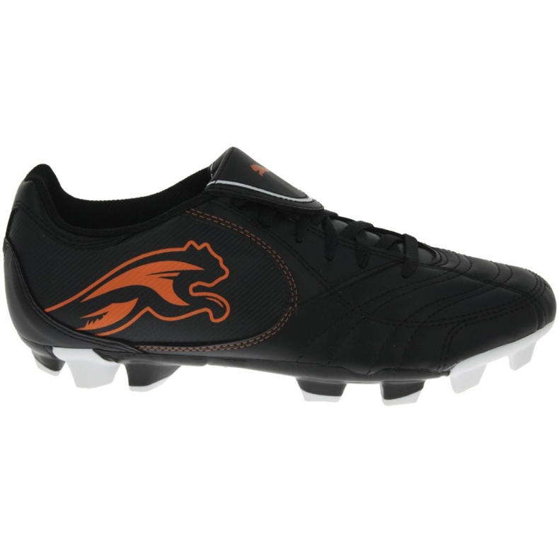Fußballschuhe Puma Boca Fg Jr 102532 03 schwarz schwarz