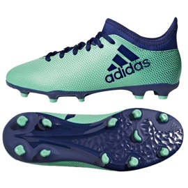 Adidas X 17.3 Fg Jr CP8993 Fußballschuhe mehrfarbig blau